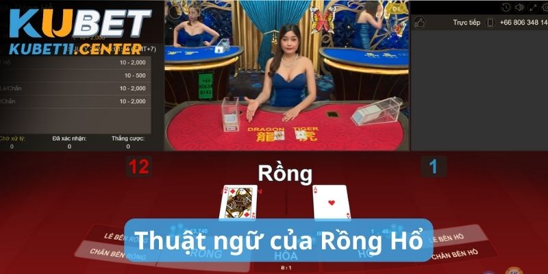 Các thuật ngữ quan trọng trong rồng hổ mà cược thủ nên biết